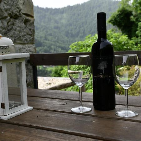 Apartment Abinkar Tolmin Εξωτερικό φωτογραφία